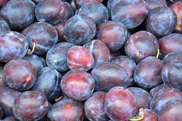Fresh purple plums