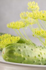 plate of of cucumbers