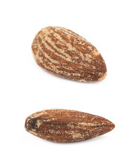 Almond nut isolated