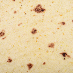 Texture fragment of a tortilla