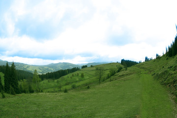 Fototapeta na wymiar Forest green hills in mountains