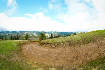 Pathway in mountain forest
