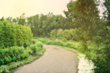 Botany park in spring