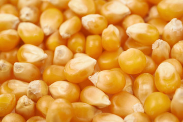 Surface coated with corn kernels