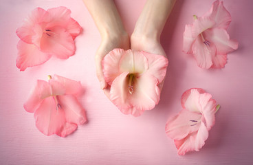 Female hands holding gladiolus flower on  pink background