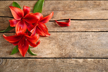 Beautiful lilies on wooden background