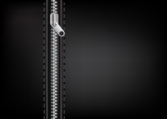 Silver zipper on a leather background