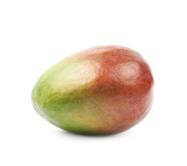 Single ripe mango fruit isolated