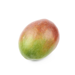 Single ripe mango fruit isolated