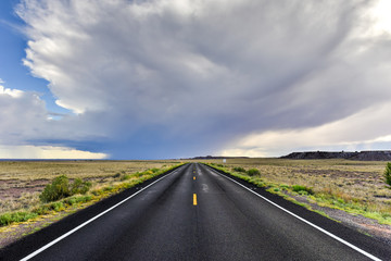 Highway along Petrified Forest National Park