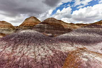 Blue Mesa - Petrified Forest National Park