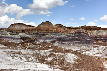 Blue Mesa - Petrified Forest National Park