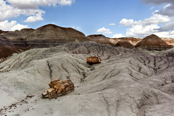Blue Mesa - Petrified Forest National Park