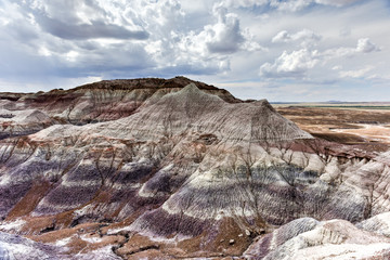 Blue Mesa - Petrified Forest National Park