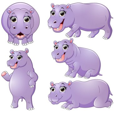 Hippo cartoon set collection