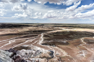 Blue Mesa - Petrified Forest National Park