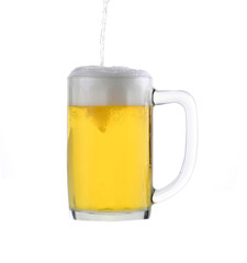 beer  isolated on a white background