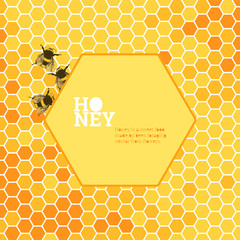 Honeycombs bright background - 117688098