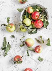 Fresh garden apples on a light background. Rustic style. Top view