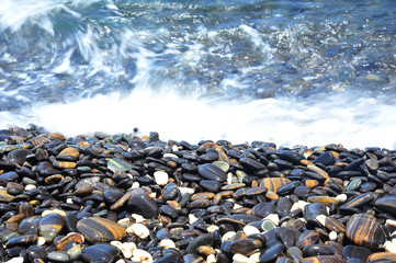 Beautiful Rocks on Beach