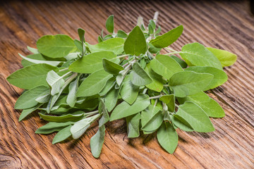 Fresh sage herb on wooden table