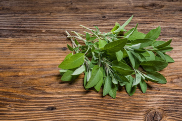 Fresh sage herb on wooden table