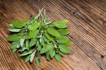 Fresh sage herb on wooden table