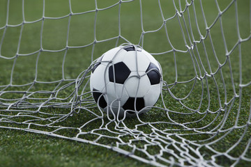 Fototapeta premium the soccer ball