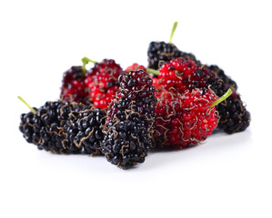 Mulberry fruit on the white background
