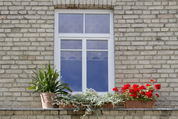 Fototapeta na wymiar Small modern plastic window with flowers on vintage old brick wall background.