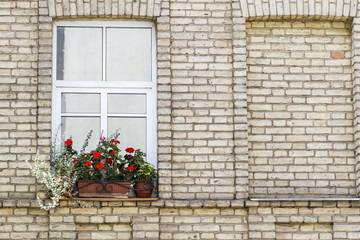 Old brick wall with window and flowers
