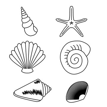 Sea collection. Original hand drawn illustration. isolated