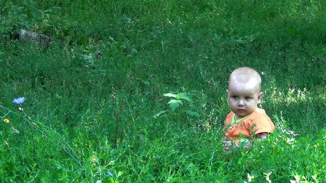 A little child on the grass in the park