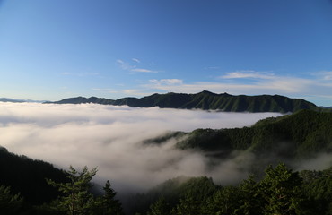 Fototapeta na wymiar 野迫川村の雲海