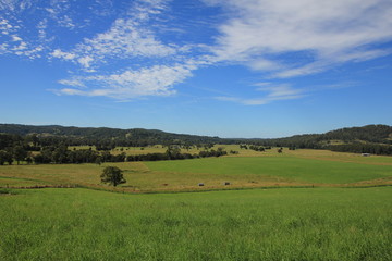 Fototapeta na wymiar Farmland near Wauchope Australia