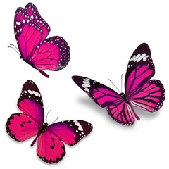 Meubelstickers Vlinder Drie roze vlinder