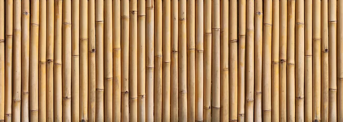 Keuken spatwand met foto Bamboe omheining © Brad Pict