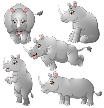 Rhinoceros cartoon set collection