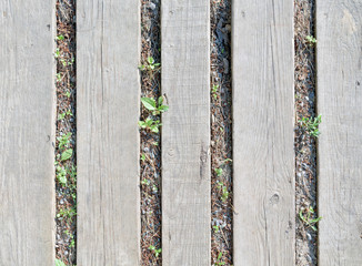 Several gray wooden planks, lying on ground
