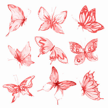 Watercolor butterflies set. Pink and red butterflies on white background. Beautiful fragile creatures for decoration.
