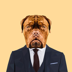 Dogue de Bordeaux dog animal dressed up in navy blue suit with red tie. Business man. Vector illustration. - 117698047