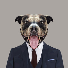 American Pit Bull Terrier dog animal dressed up in navy blue suit with red tie. Business man. Vector illustration.