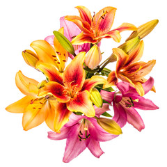 Obraz premium Vintage flowers pattern with lilies isolated on white background