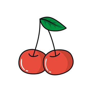 Cherry illustration vector