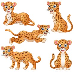 Naklejka premium Leopard cartoon set collection