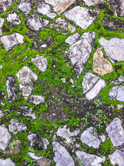 Stone and green moss texture or background