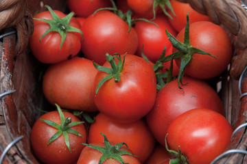 Homemade tomatoes in a basket