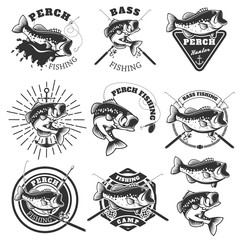 Bass fishing labels. Perch fish. Emblems templates for fishing c