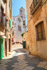 Fototapeta premium Alleyway. Giovinazzo. Puglia. Italy. 