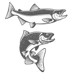 Fototapeta premium Salmon silhouettes. Fresh seafood. Salmon fishing.